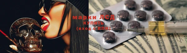 гашик Касимов