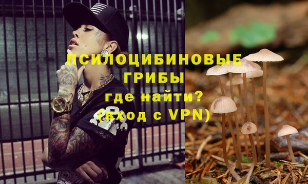 гашик Касимов