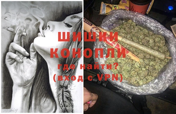 молекула духа Карпинск