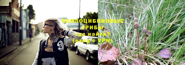 молекула духа Карпинск