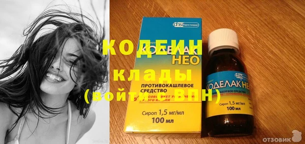 молекула духа Карпинск