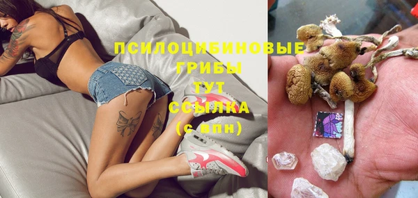 гашик Карталы