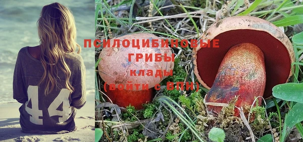 гашик Касимов