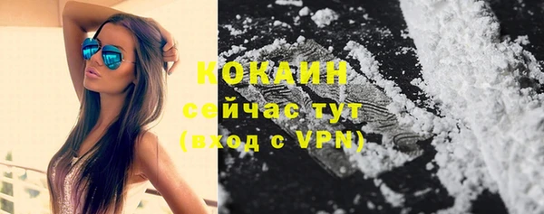гашик Карталы