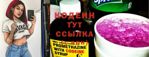 гашик Карталы