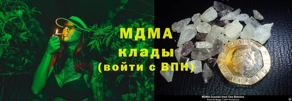 гашик Касимов