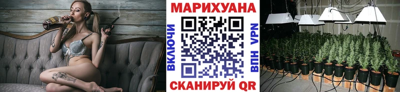 Купить закладки  Гурьевск  Конопля ГИДРОПОН 